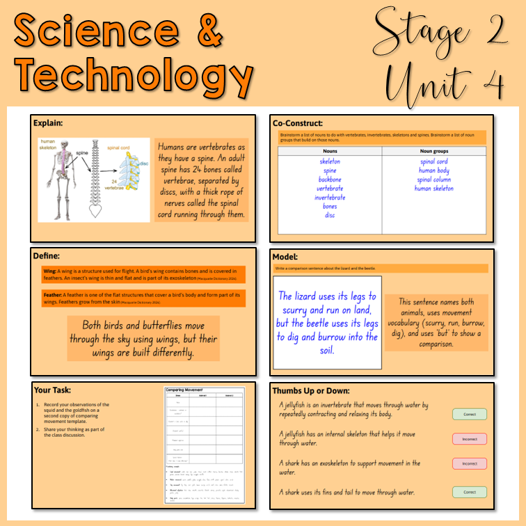 Stage 2 | Science & Technology | Unit 4