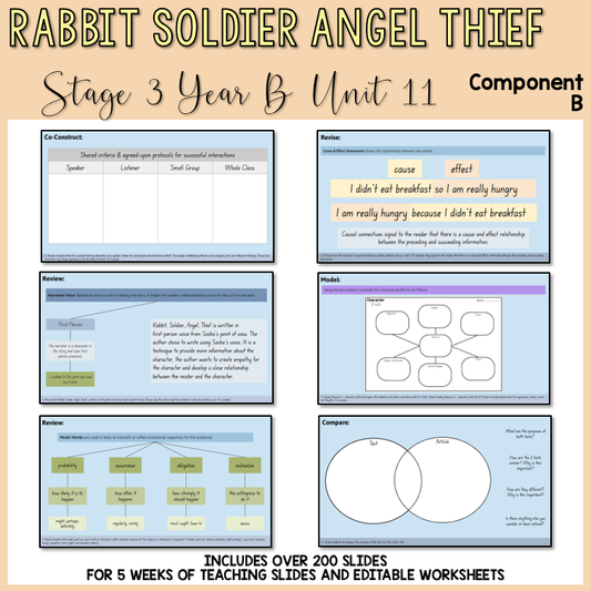 Stage 3 | Unit 11 - 'Rabbit Soldier Angel Thief' | Component B